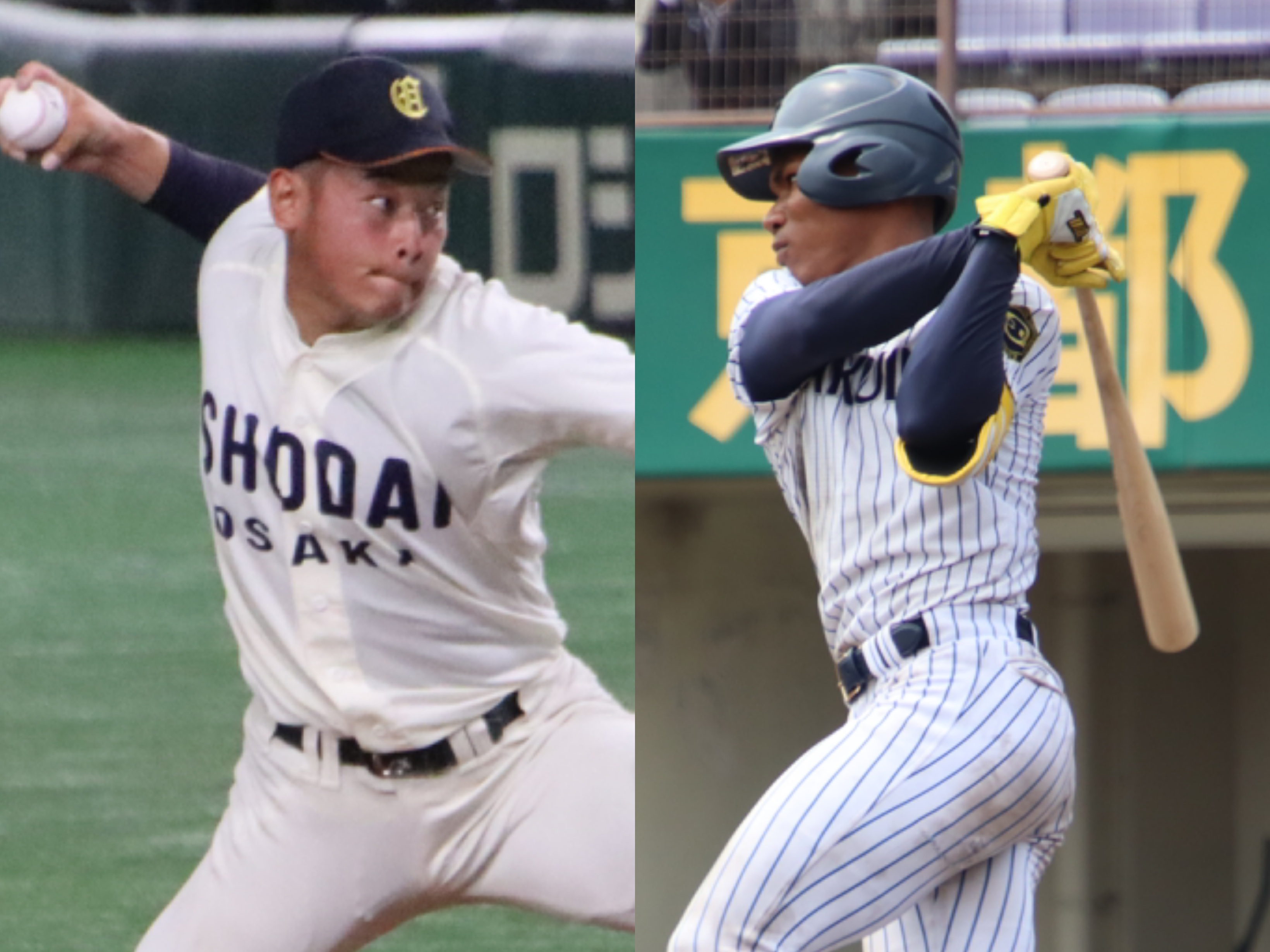 大阪桐蔭 “最強世代”のエースが6年で戦力外、根尾・藤原と共に史上初2